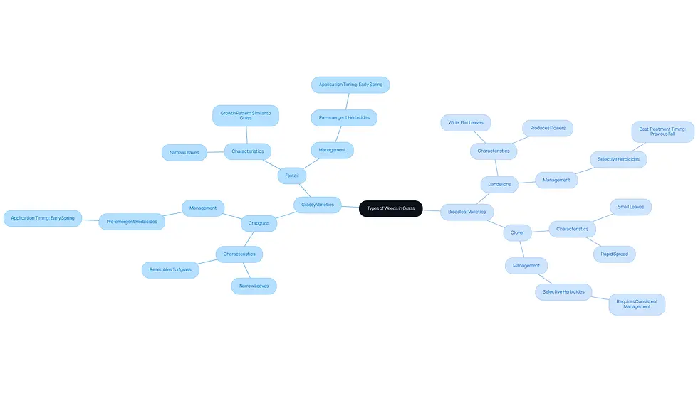 This mindmap helps you understand the different types of weeds in your yard. The central idea is about weed classification, with branches showing the two main types: grassy and broadleaf. Each type has examples and management tips, making it easier to identify and control them effectively.