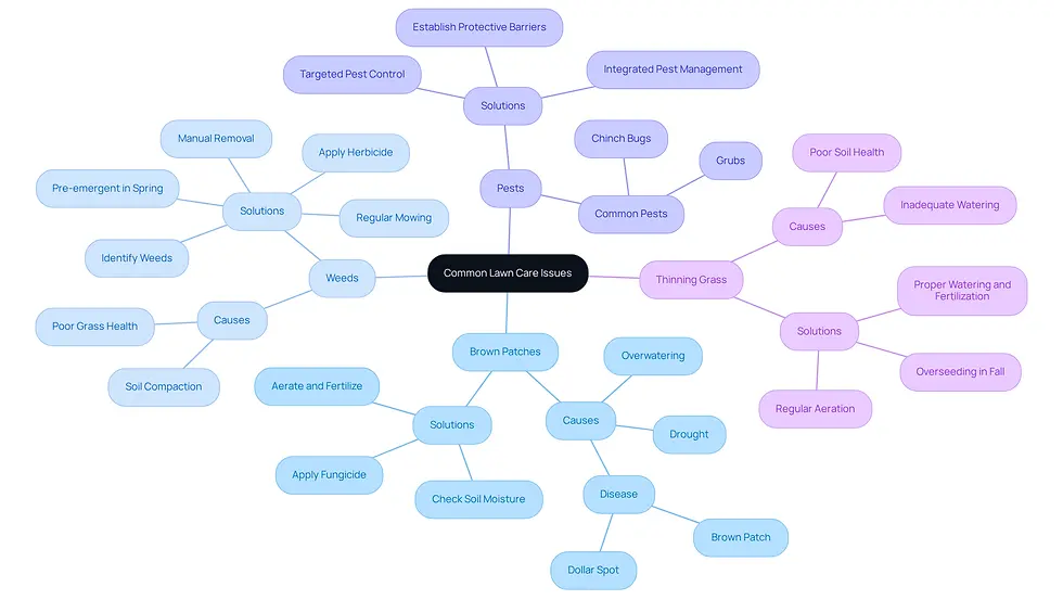This mindmap helps you explore common lawn problems and their solutions. Start at the center with the main topic, then follow the branches to see specific issues and what you can do about them. Each color represents a different issue, making it easy to find the information you need.