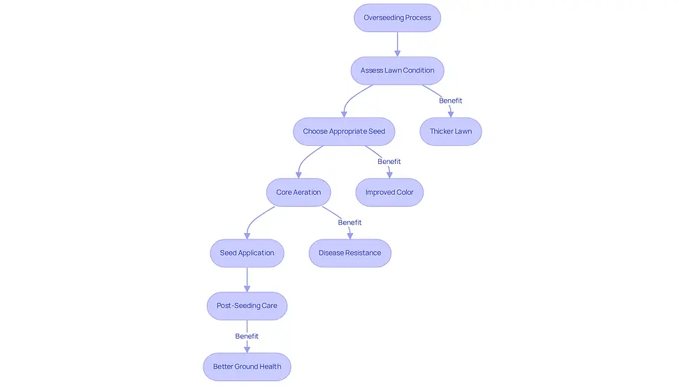This flowchart guides you through the overseeding process step-by-step. Each box represents a stage in the process, and the notes beside them explain the benefits of each step. Follow the arrows to see how to revitalize your lawn effectively!