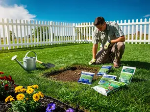 What Is the Best Grass Seed for Your Lawn? Key Insights Explained