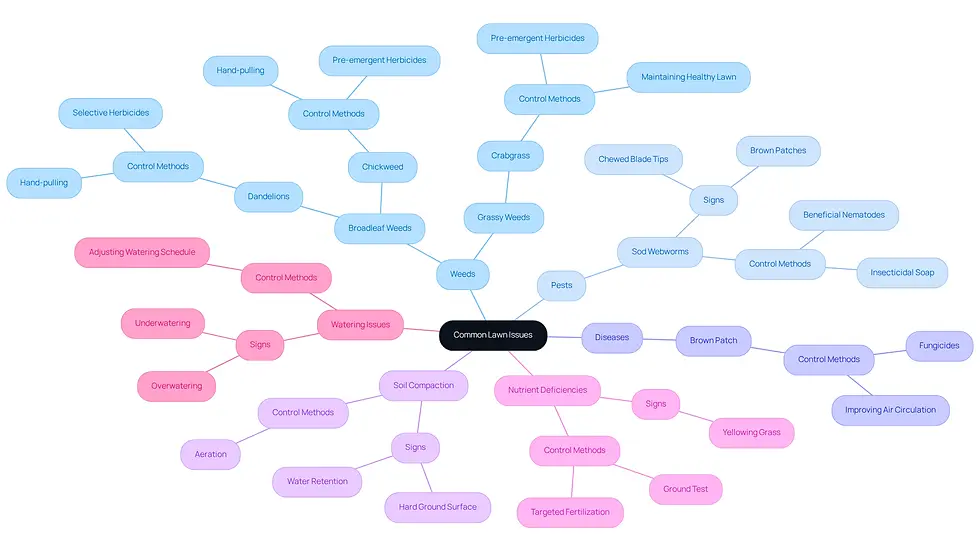 Start at the center with the main topic of lawn issues, then follow the branches to explore each specific problem and its recommended solution. Each color-coded branch helps you quickly identify the type of issue and the strategies to address it.