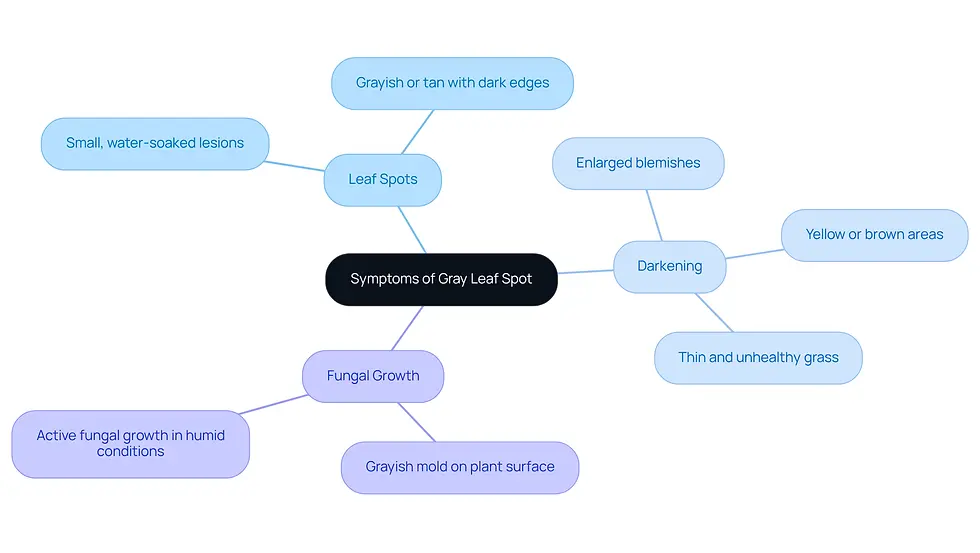 This mindmap starts with the main topic in the center and branches out to show the different symptoms of gray leaf spot. Each branch represents a symptom, and the sub-branches provide more details about what to look for. This visual helps you quickly understand how to identify the disease and take action.