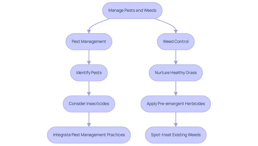 Follow the arrows to see the steps for managing pests and weeds. Each box represents a key action you can take to keep your lawn healthy and thriving.
