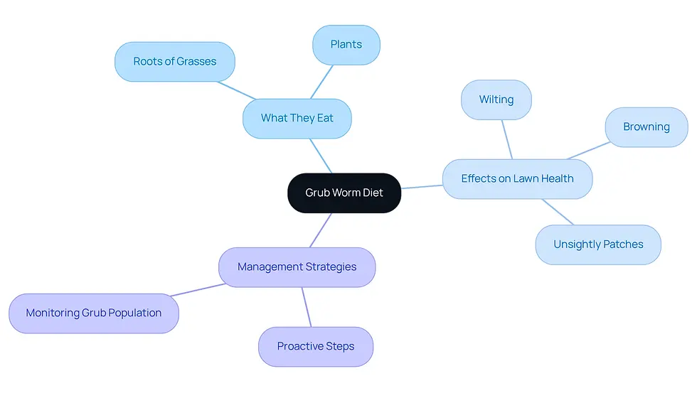 This mindmap starts with the main topic of grub worm diet at the center. Each branch represents a related aspect: what they eat, how it affects your lawn, and how to manage them. Follow the branches to explore the connections and gain a comprehensive understanding of the issue.
