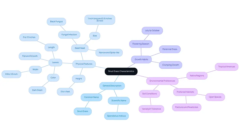 This mindmap starts with the main topic of smut grass in the center. From there, you can explore its general description, physical features, growth habits, and where it thrives. Each branch leads to more specific details, helping you understand how to identify and manage this weed effectively.