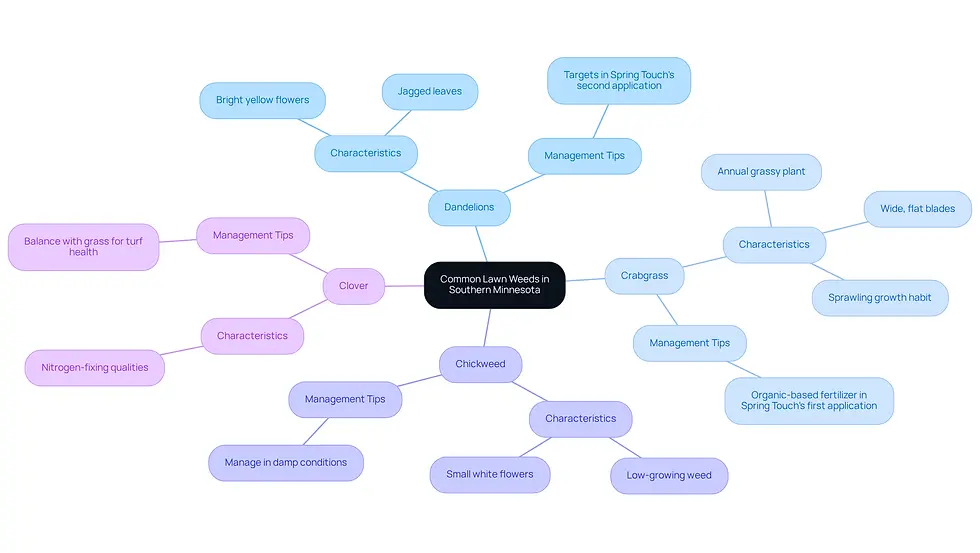 This mindmap helps you understand the common weeds found in Southern Minnesota lawns. Each branch represents a different weed, showing its characteristics and how to manage it. Follow the branches to learn about each weed and what you can do to keep your lawn healthy!