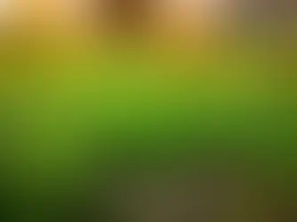 Master Overseeding Bermuda Grass: 5 Steps for a Lush Lawn