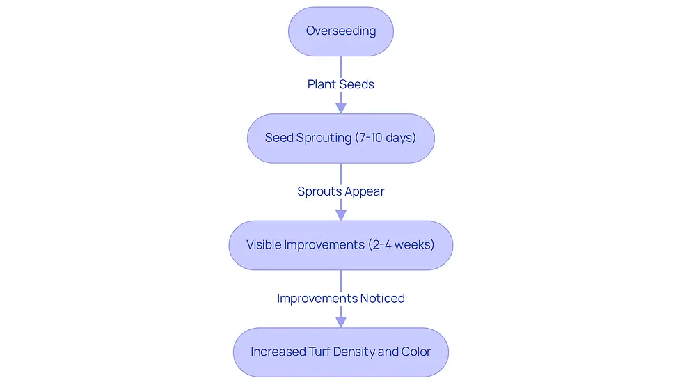 This flowchart shows the steps and timeline for transforming your garden through overseeding. Start with planting seeds, then follow the arrows to see how quickly you can expect to see sprouts and improvements in your lawn.