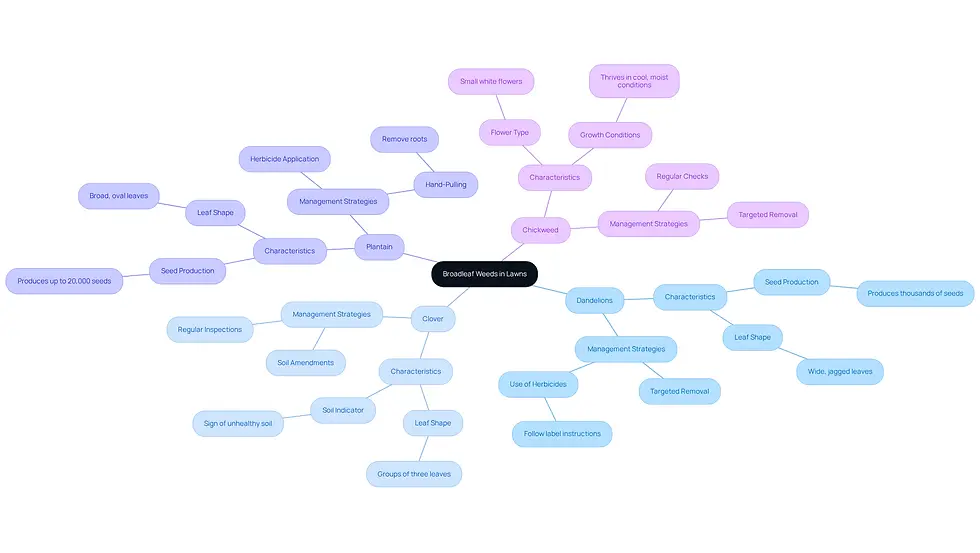 This mindmap starts with the main topic of broadleaf weeds and branches out to show specific types of weeds and how to manage them. Each branch represents a different weed, and the sub-branches provide details on their characteristics and care tips. Follow the branches to understand how to tackle each weed effectively!
