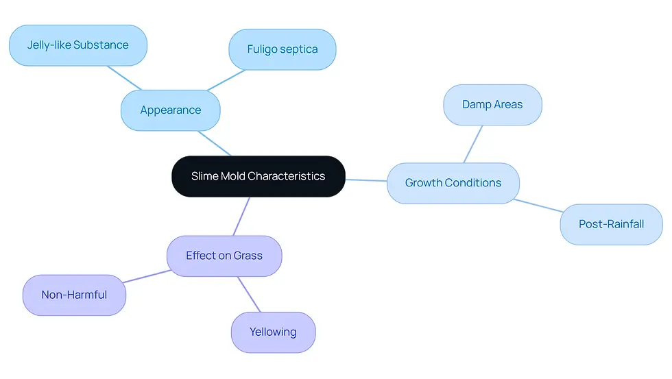 This mindmap helps you visualize the important traits of slime mold. Start at the center with the main topic, then follow the branches to learn about its appearance, where it grows, and how it affects your lawn. Each color-coded branch makes it easy to distinguish between different characteristics.