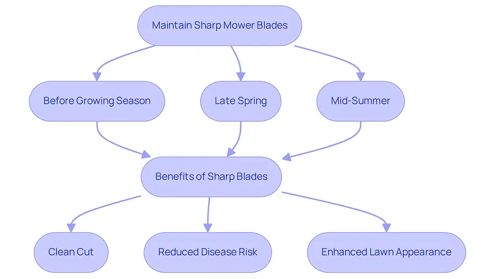 Follow the arrows to see when to sharpen your mower blades and how it helps your lawn stay healthy. Each step leads to benefits that keep your grass looking great and thriving.