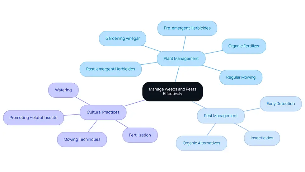 The central idea is managing weeds and pests, with branches showing different strategies. Each branch represents a category of actions you can take to protect your lawn, making it easy to see how they connect.