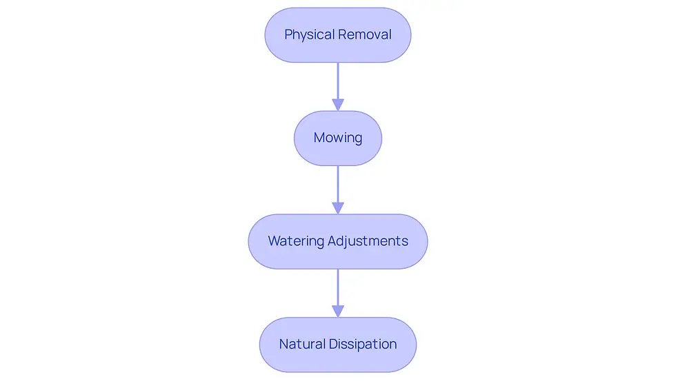 Each box shows a step you can take to manage slime mold in your lawn. Follow the arrows to see the recommended order of actions for the best results.