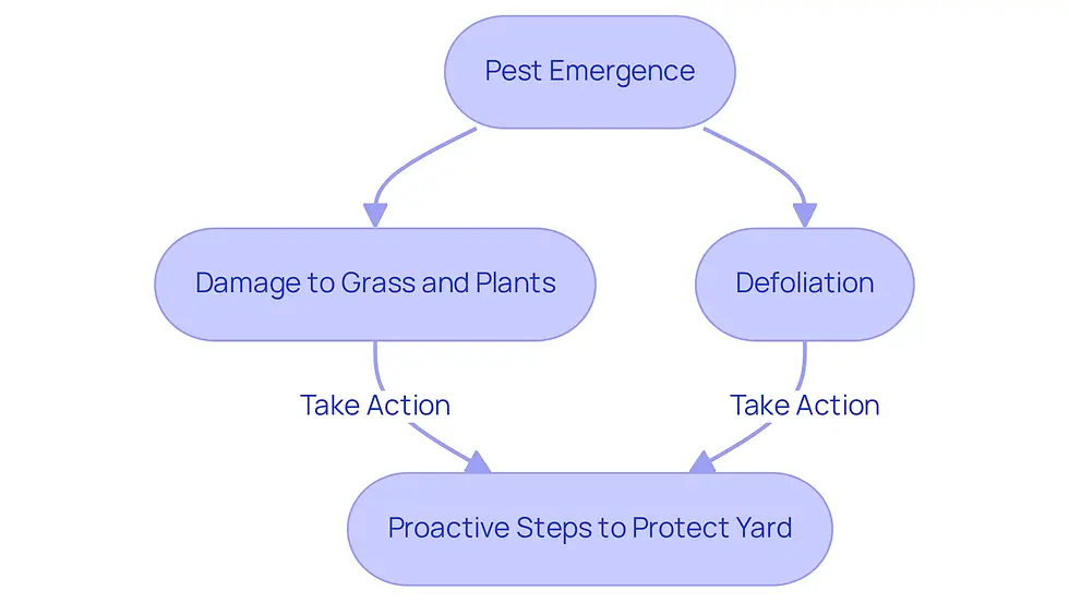 This flowchart shows how pests like June bugs and Japanese beetles emerge and affect your yard. Follow the arrows to see how their emergence leads to damage and what steps you can take to protect your yard.