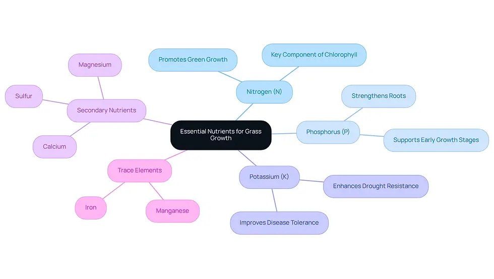This mindmap starts with the main topic in the center and branches out to show the key nutrients needed for grass health. Each branch explains what that nutrient does for your lawn, helping you understand how to care for it better.