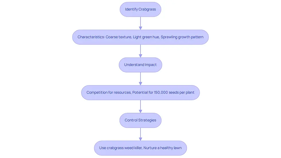Follow the flow from identifying crabgrass to understanding its impact, and finally to the strategies you can use to control it. Each step builds on the previous one, guiding you through the process of reclaiming your lawn.