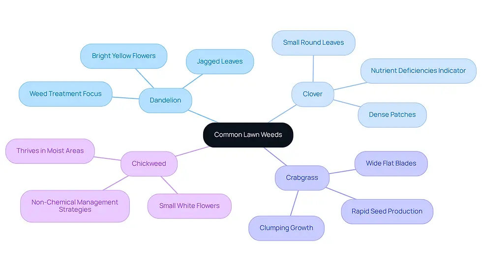This mindmap starts with the main topic of common lawn weeds. Each branch represents a specific weed, and the sub-branches provide details about its characteristics and management strategies. This visual helps you quickly identify and understand the weeds you might encounter in your yard.