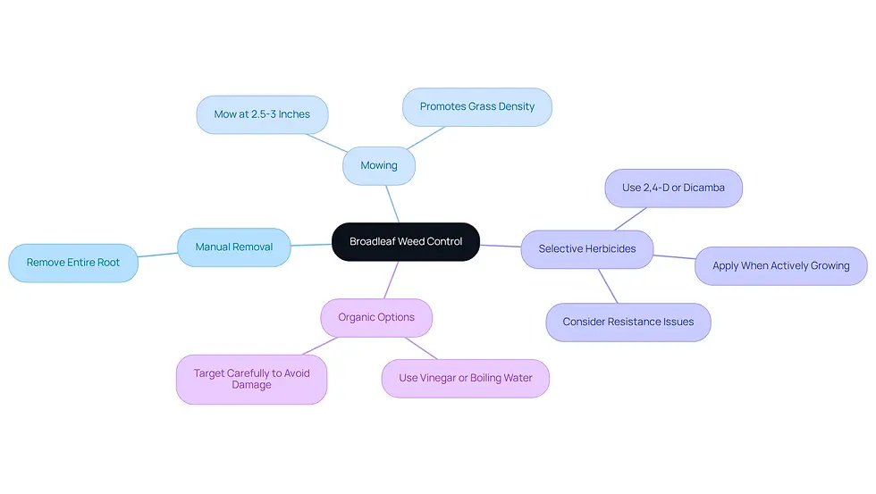 This mindmap shows various strategies for controlling broadleaf weeds. Start at the center with the main topic, then explore each method and its specific actions. Each color represents a different control method, making it easy to see your options at a glance.
