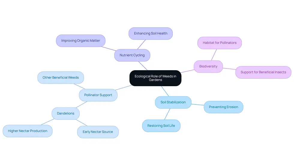 This mindmap shows how weeds contribute to garden health. Start at the center with the main idea, then follow the branches to see how they help with soil, support pollinators, cycle nutrients, and promote biodiversity.