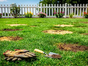 How to Fix Brown Patches in Lawn: Step-by-Step Solutions