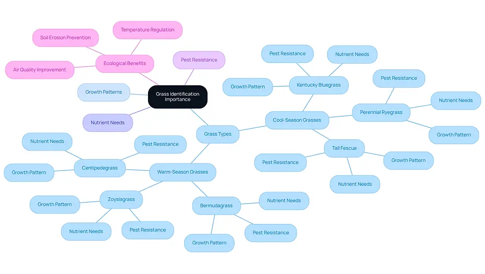 This mindmap starts with the central idea of grass identification and branches out into various aspects like types of grass and their specific needs. Each branch helps you see how different grass types affect lawn care, making it easier to understand what your lawn needs for optimal health.