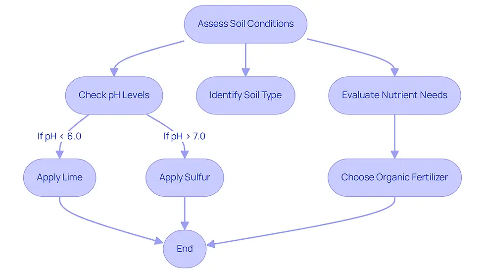 This flowchart guides you through the process of assessing your soil and taking action to improve your lawn's health. Follow the arrows to see each step, from checking pH levels to applying fertilizers, ensuring your yard thrives.