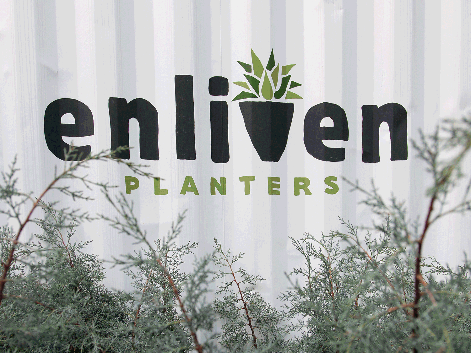 Enliven_Shop-Signs.gif