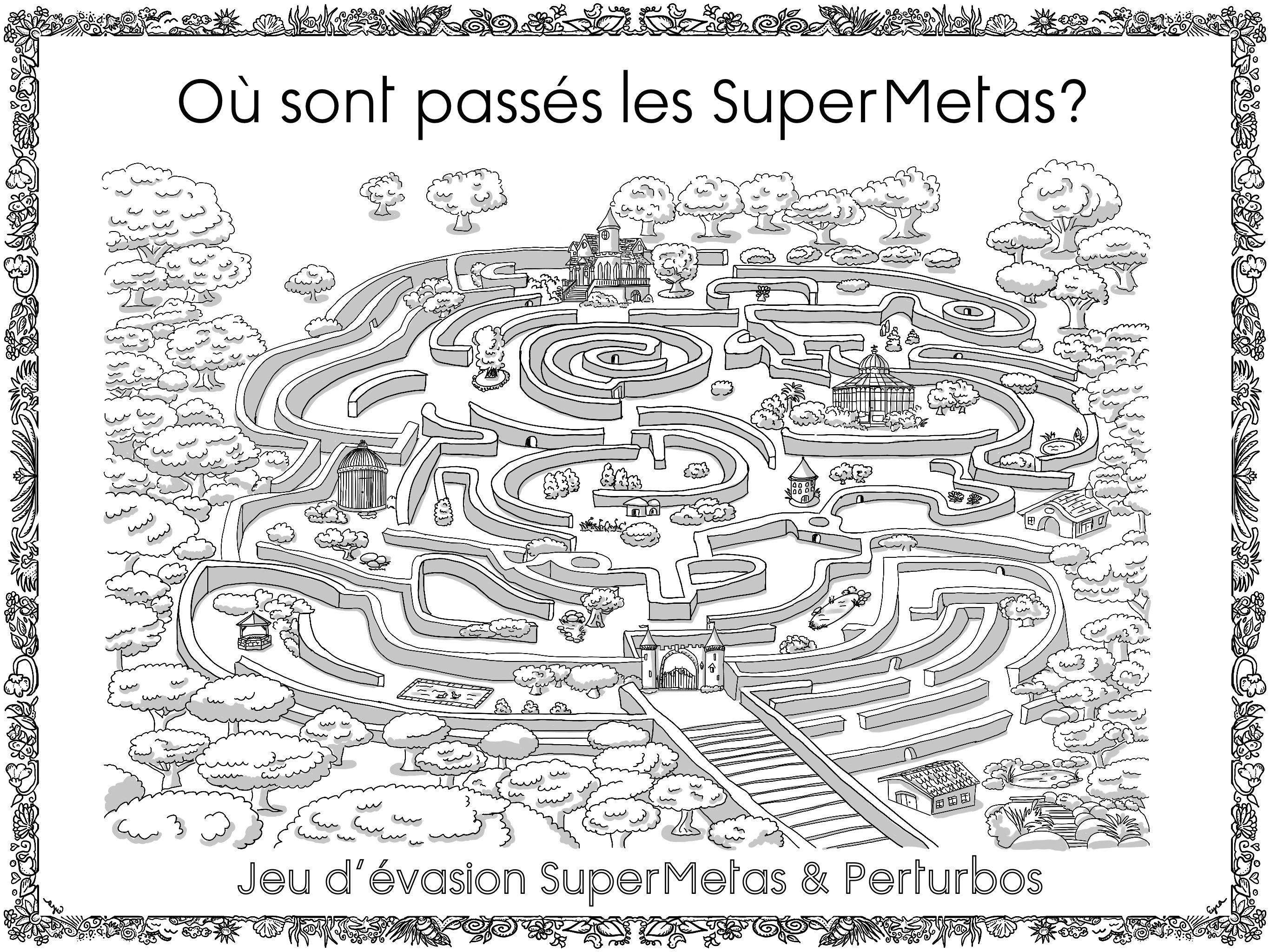 4H-6H 7-10 ans Où sont passés les SuperMetas. Escape game