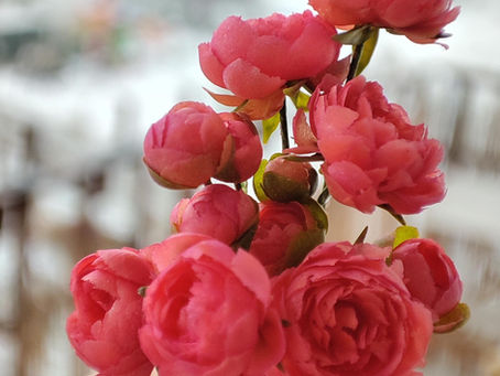 The Beauty of Small Things