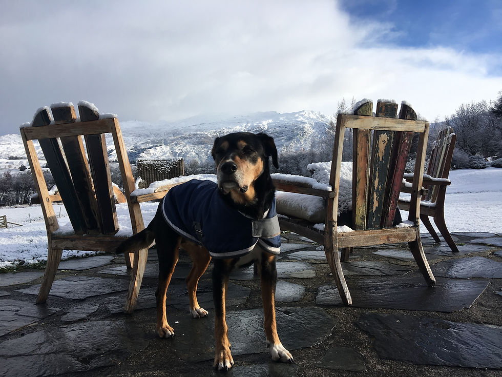 Beau