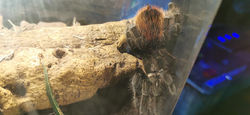 IMG_20250528_105402
