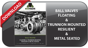 Ball Valves Floating and Trunnion mounted Resilient and Metal seat 