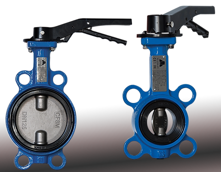 Concentric butterfly valves - Center type
