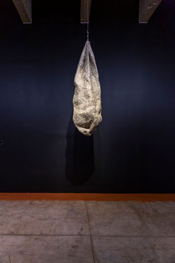 IÂ´taÌ_Tubo_Muscular_MembranaÌceo_Mediano_a