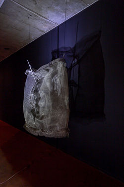 Despreocupadas_Sombras_TransgeÌneras_d