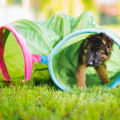 AdobeStock_271508059 (1).jpeg