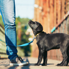 AdobeStock_118001293.jpeg
