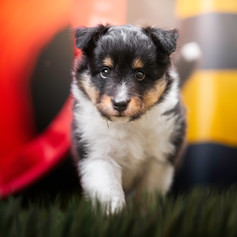 AdobeStock_506811592.jpeg