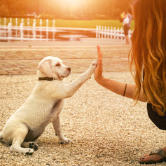 AdobeStock_116554364.jpeg