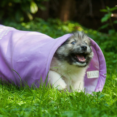 AdobeStock_69073385.jpeg