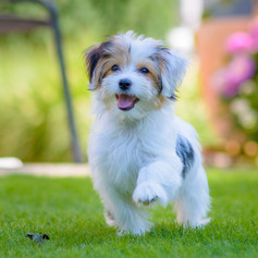 AdobeStock_358329259.jpeg