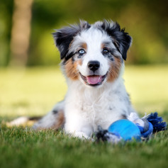 AdobeStock_208478695.jpeg
