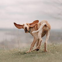 AdobeStock_351167449.jpeg