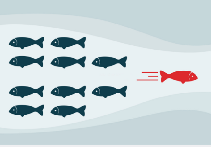 Altering the Paradigm for Diverse Investment Managers White Paper
