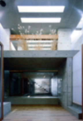 EShouse-02 新築 住宅 2階建て RC コンクリート造 木造 大阪府 大阪市 シンプル モダン 天窓 トップライト 中庭