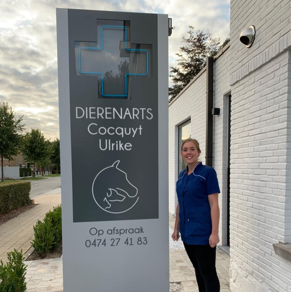 Dierenarts Ulrike Cocquyt