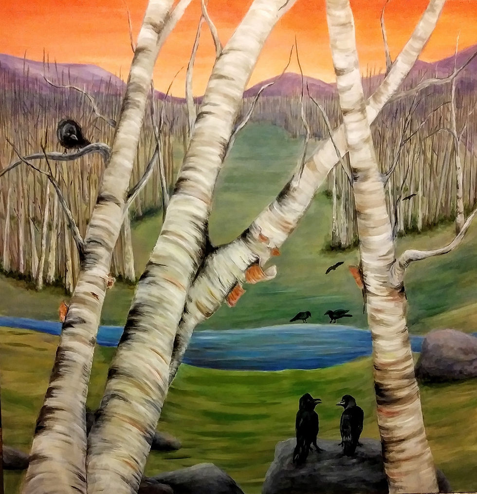 Birch Trees