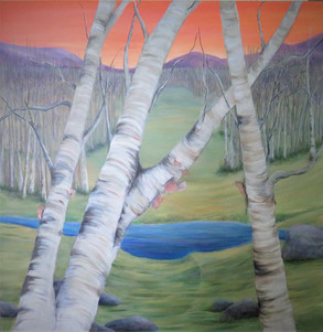 Silver Birch