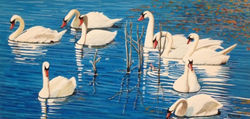 Seven Swams a Swimming