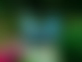 5 Things to keep in mind while designing an outdoor patio